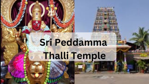 Jubilee Hills Sri Peddamma Thalli Temple Timings, Location