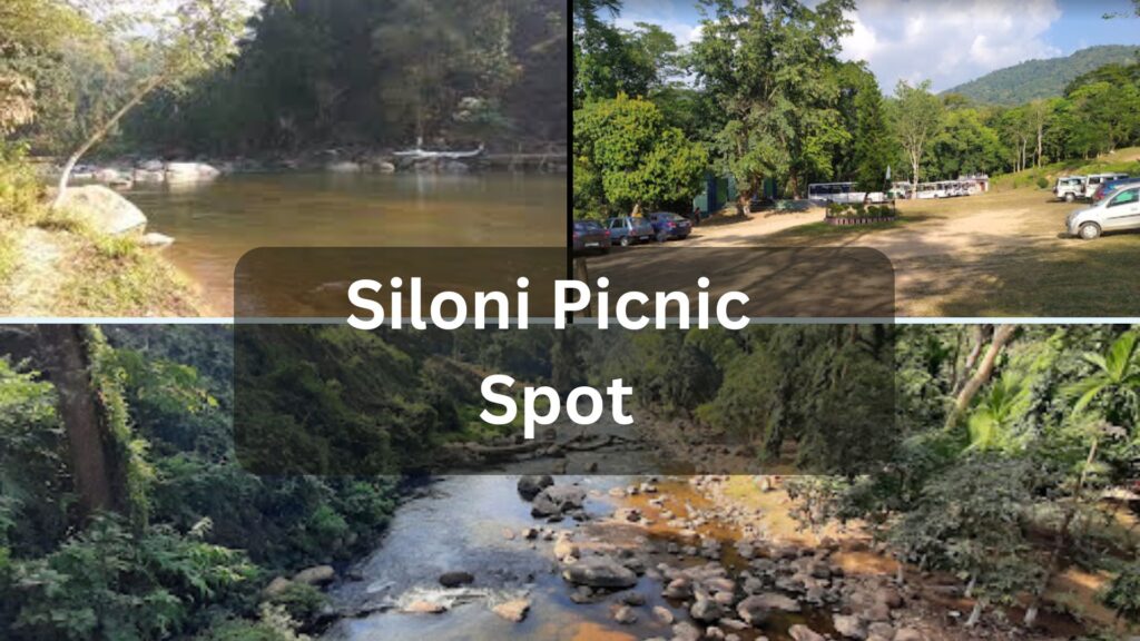 Siloni Picnic Spot