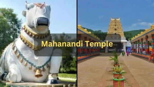 Mahanandi Temple Timings, Photos, Distance