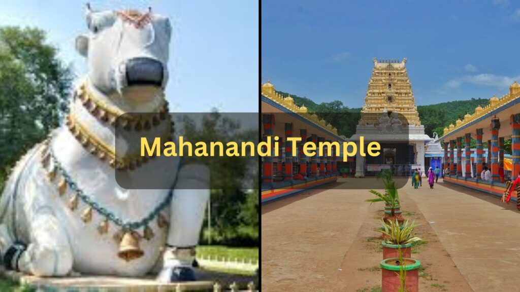 Mahanandi Temple timings